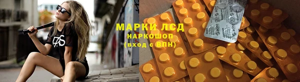 гидропоника Арсеньев